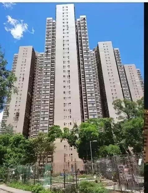 这是香港大埔8栋楼没烧毁之前的样子，楼宇整齐有序，窗明几净，承载着无数家庭的烟火