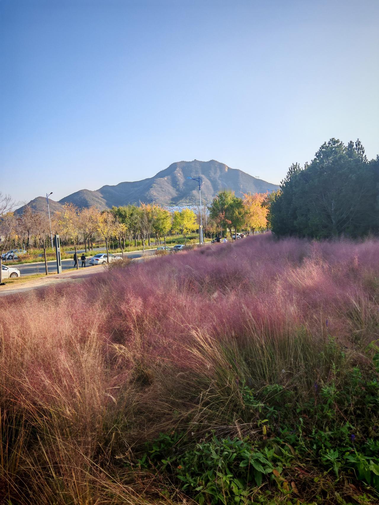 发现一个挺有意思的现象，周末出行的人们，出去凑的是热闹，消费跟铁公鸡有一拼，主打