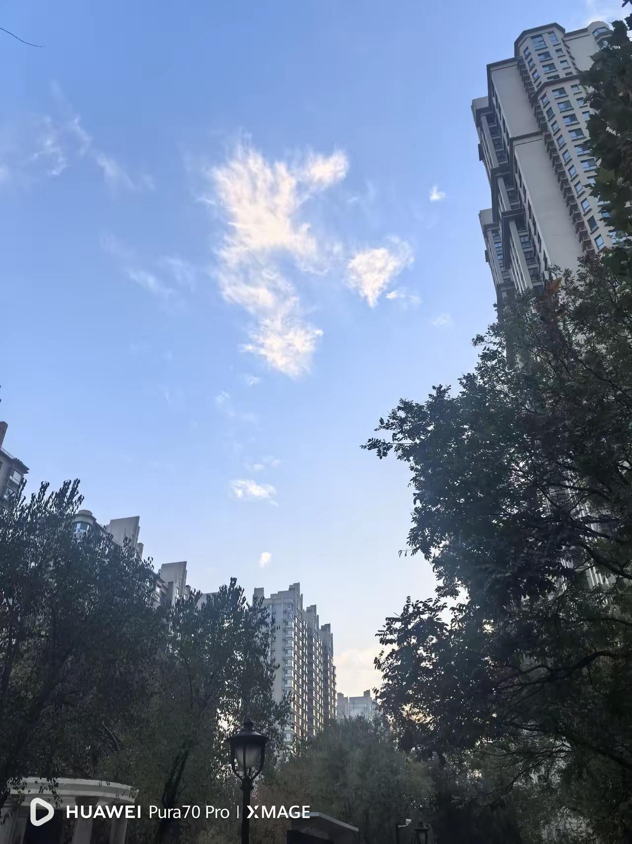 是酒后乱性，还是流氓成性？据媒体报道，11月11日，广西百色发布情况通报，经联