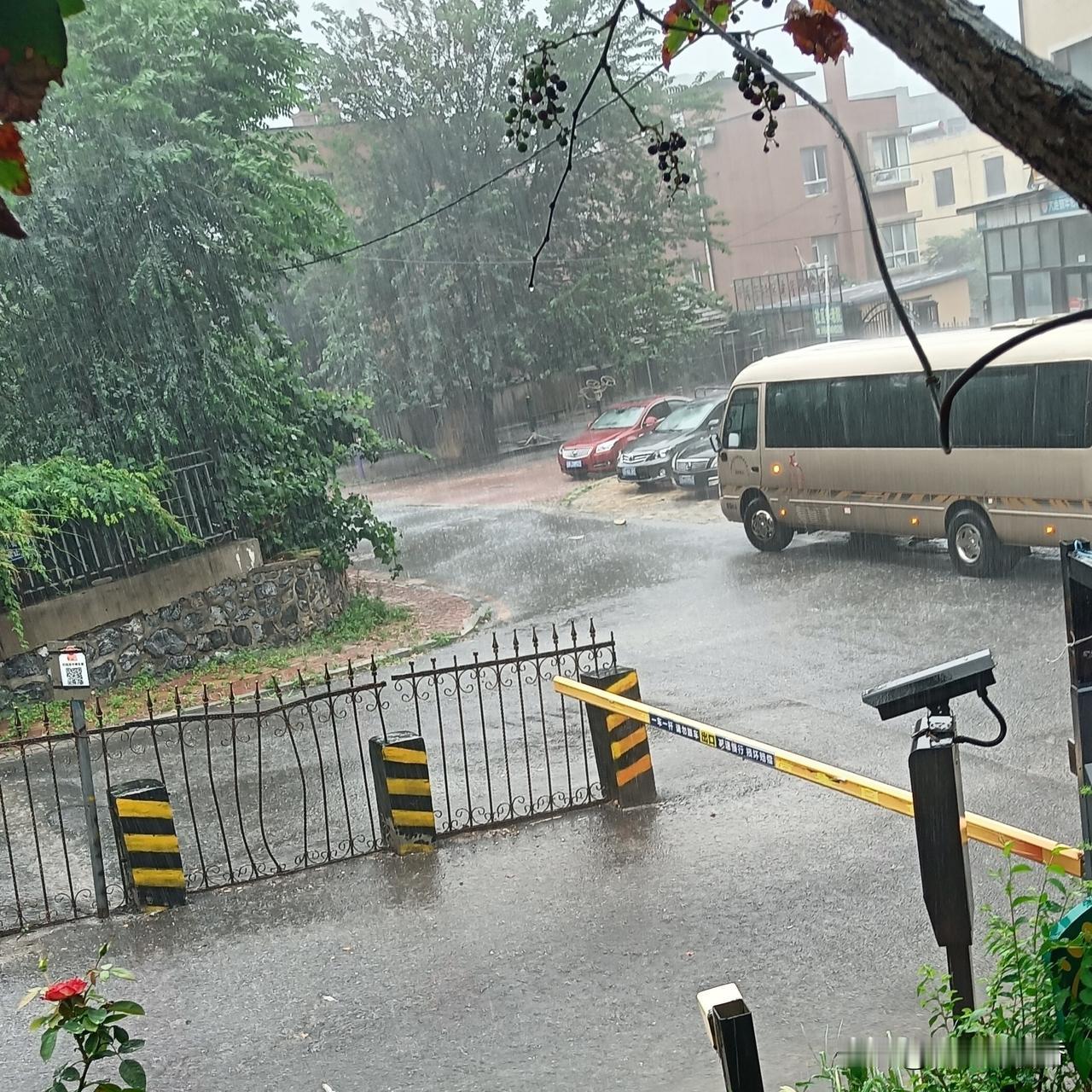 大连迎来久违大雨，降温与利弊都来了…大连迎来一场酣畅的大雨，不少地方路面已