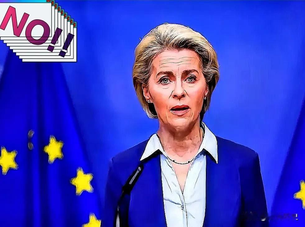 有人当着冯德莱恩的面，抛出了个让她瞬间卡壳的问题，简直像给运行中的系统来了记强制