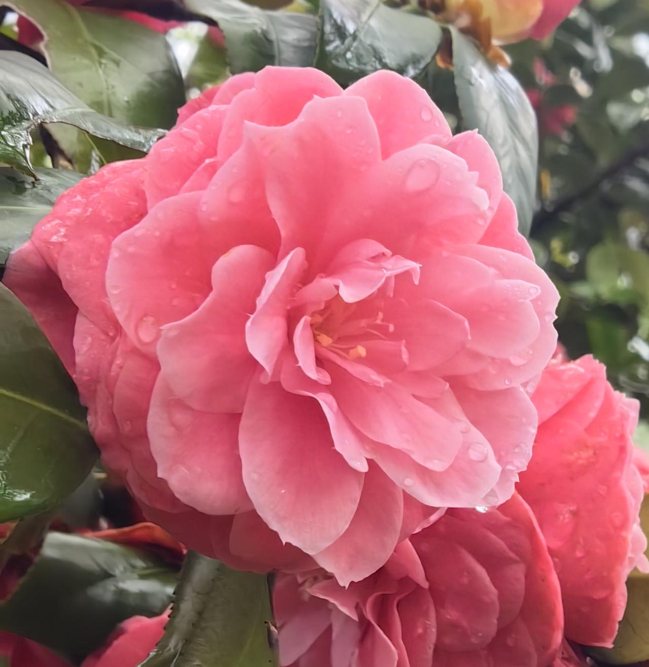 为什么说海昌智能正股门槛不会高于420万元？主要基于三个因素：一是中科仪进行网