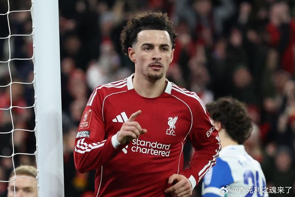 🇳🇱范迪克🇳🇱格拉文贝赫🏴󠁧󠁢󠁥󠁮󠁧󠁿柯蒂斯（琼斯）