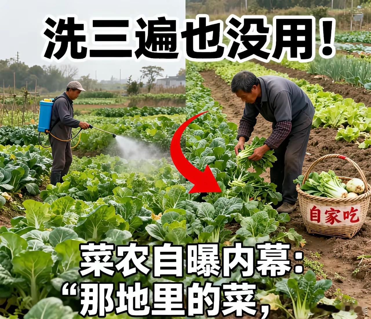 网络消息，2026年1月20日，潇湘晨报·晨视频发布消息，公安机关已对涉事种植户