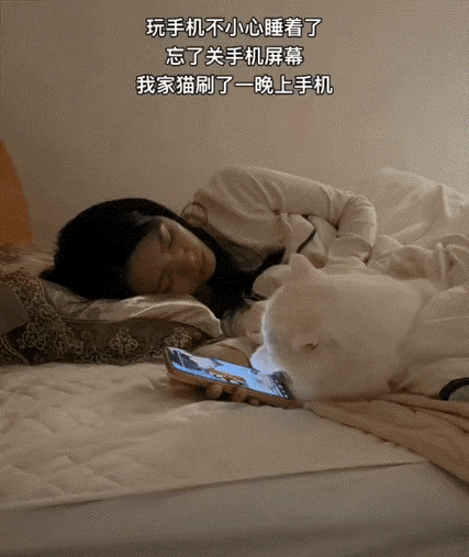 万万没有想到，广东，一女子在床上躺着玩手机刷视频，期间她刷着刷着就睡着了，但让其