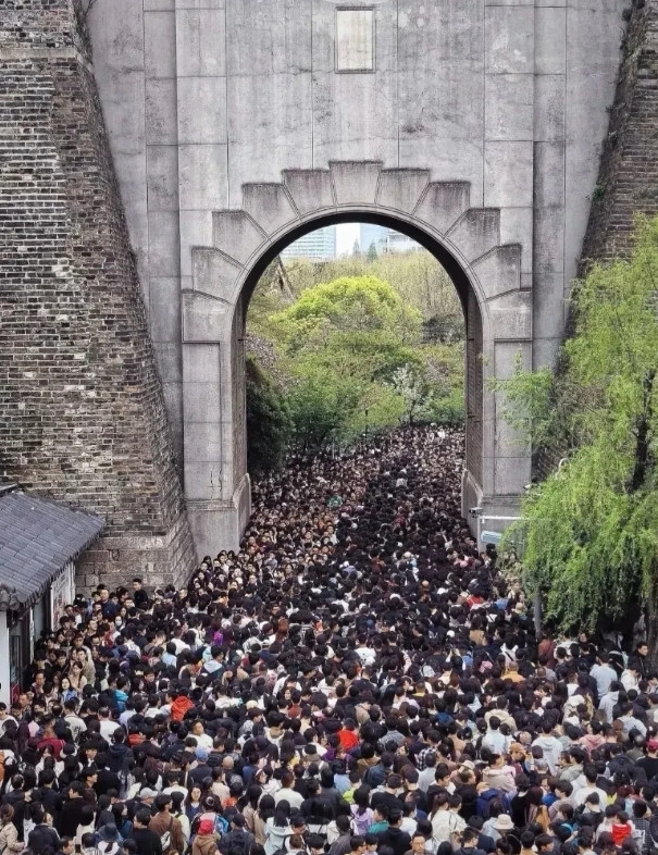 真心建议:节假日，普通家庭，请不要带孩子去旅游！因为你会发现，旅游回