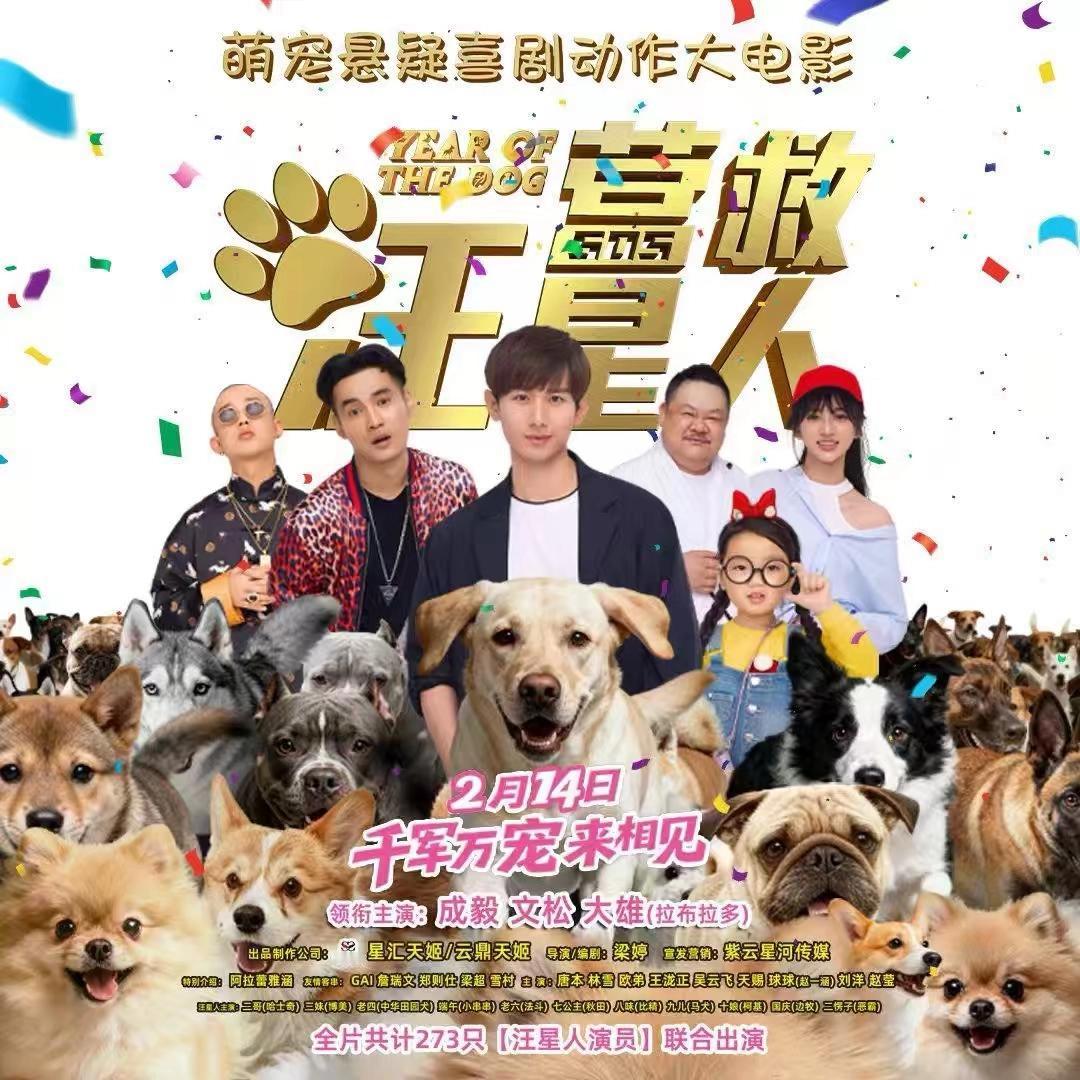 成毅这事儿，真是让人哭笑不得。2026年春节档，一部叫《营救汪星人》的片子突