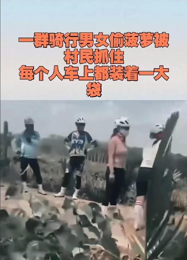 总有些人打着骑行的幌子做一些见不得人的勾当，听说骑行圈很乱，但是乱到什么程度可能