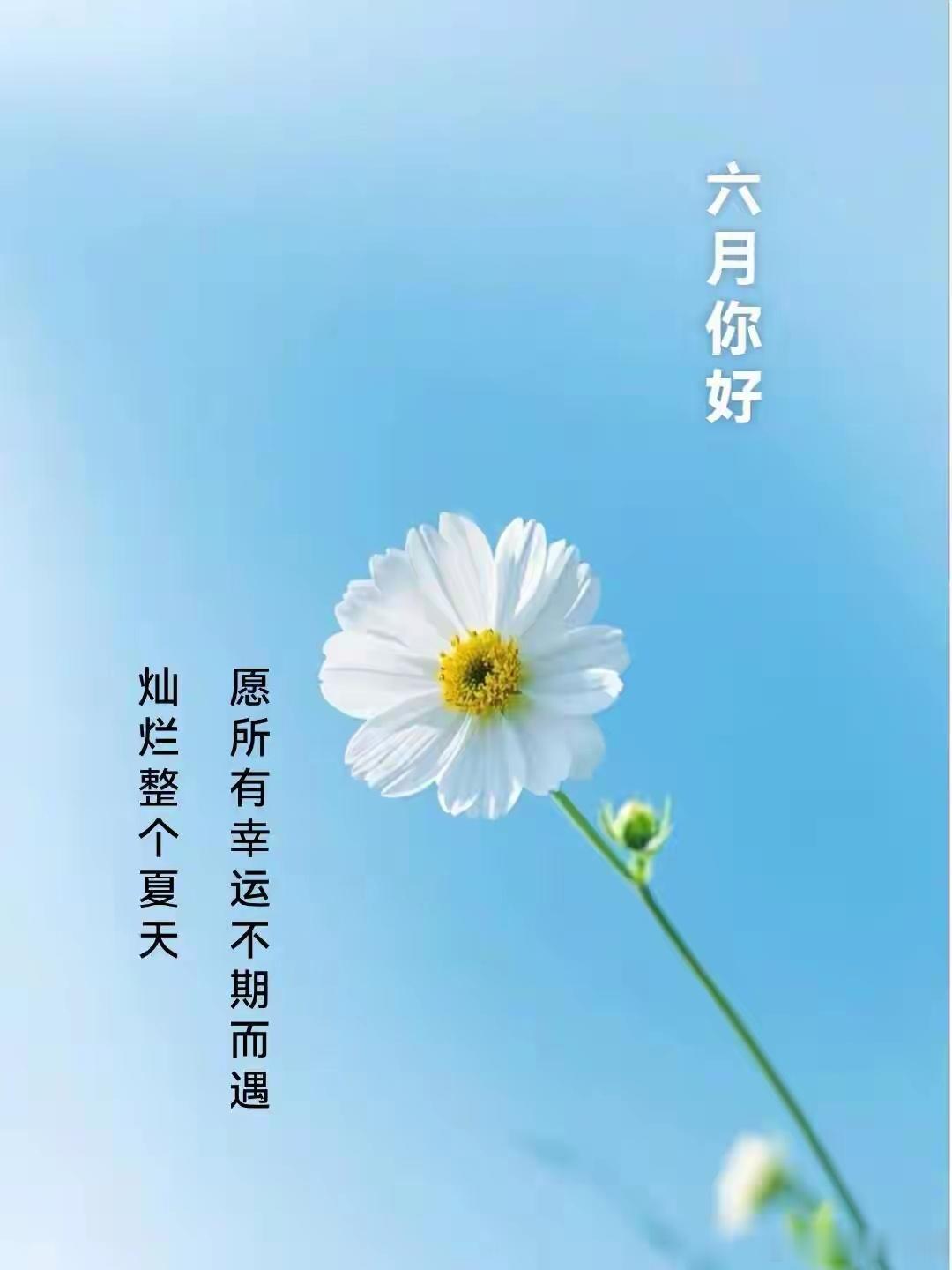 心与小肠相表里，心火旺的人，小便大多黄赤，一张经方心肠同降很多人发现小便黄赤，第