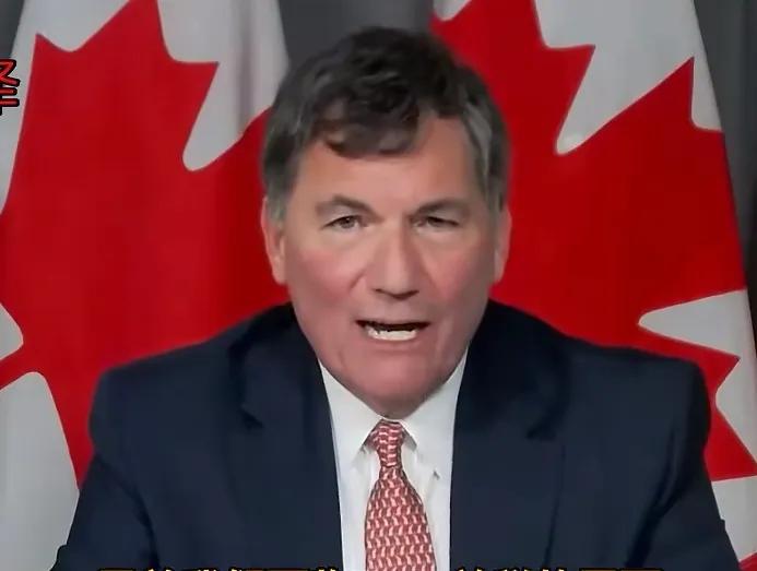 蠢货！抱美国粗腿吃了个狗啃泥，活该！加拿大贸易部长终于承认对中国实施了“全球