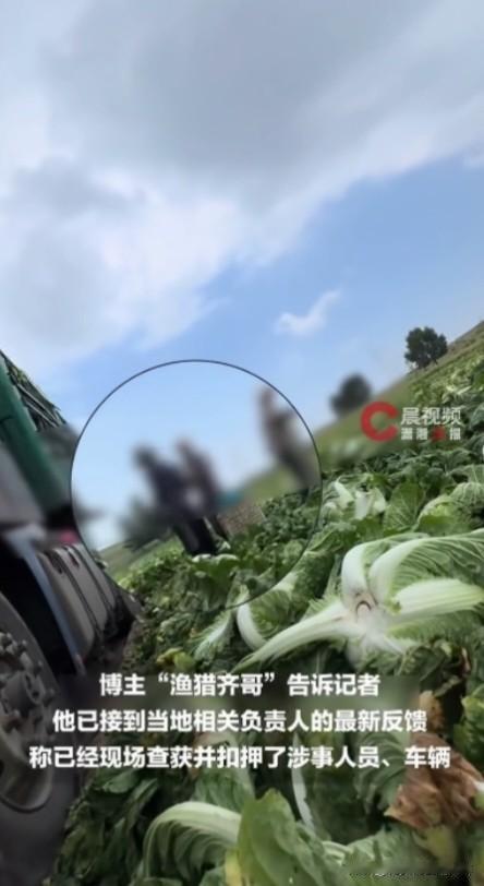 甲醛白菜危害公共食品安全，侵害人民群众的身体健康，建议严肃调查核实如有涉嫌违法依