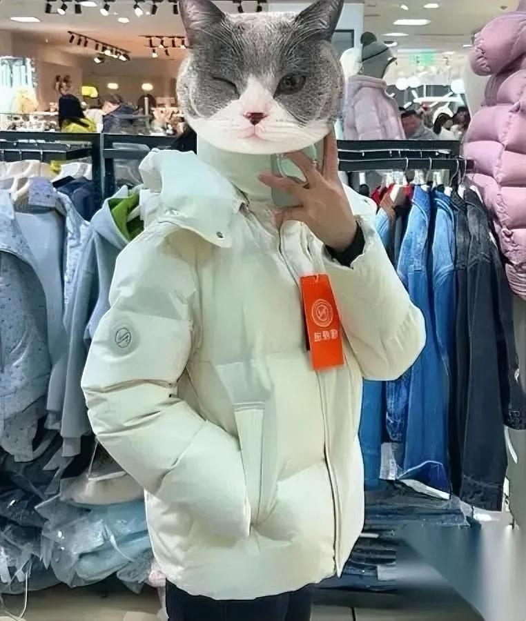 我朋友上周在胖东来花256买了件羽绒服结果穿出门被问了三次链接！不是