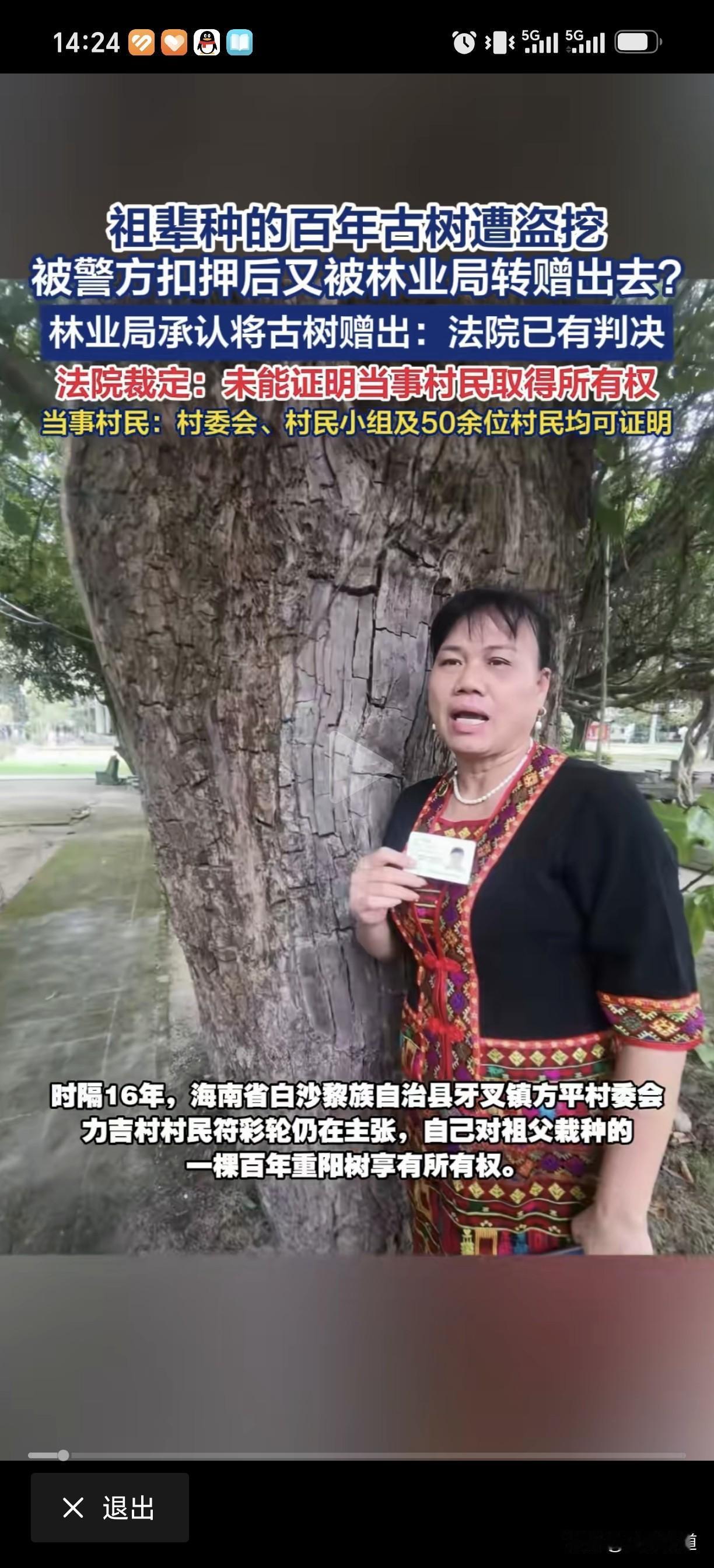 百年重阳树遭人盗挖，报警后警方将古树作为被盗财物扣押，移交县林业局种植保管。林业