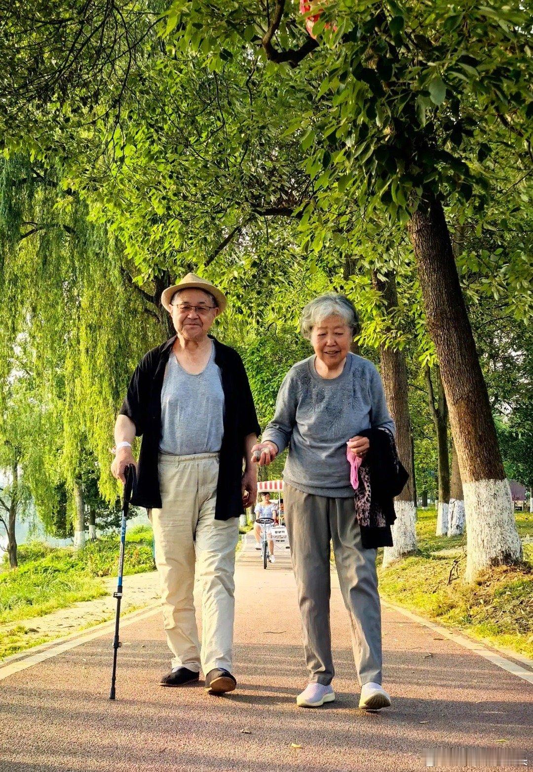 过了65岁想再活40年，切记要多吃这15样好东西：1.鸡蛋最实在