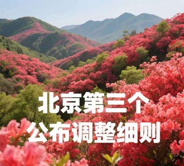 北京每年的表现都很佳。今年是第三个公布养老金调整细则的省份。1.定额调整：养老