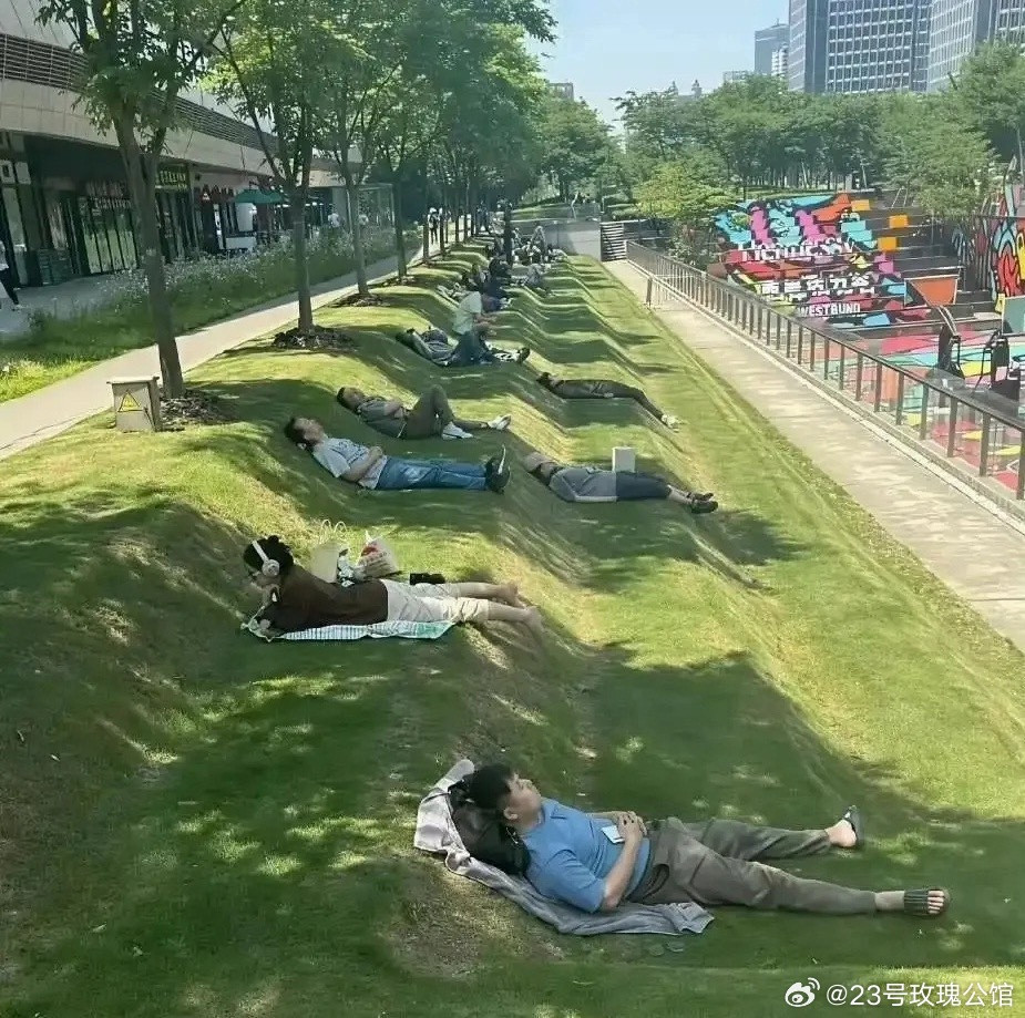 这个草坪的设计师真是天才，打个盹儿不误事