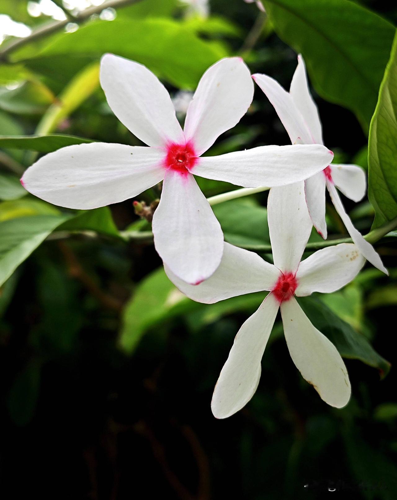 怎么样让自己保持快乐的心情岁月里所有的奔忙，都值得被时光犒赏。生活，既要尽心，也
