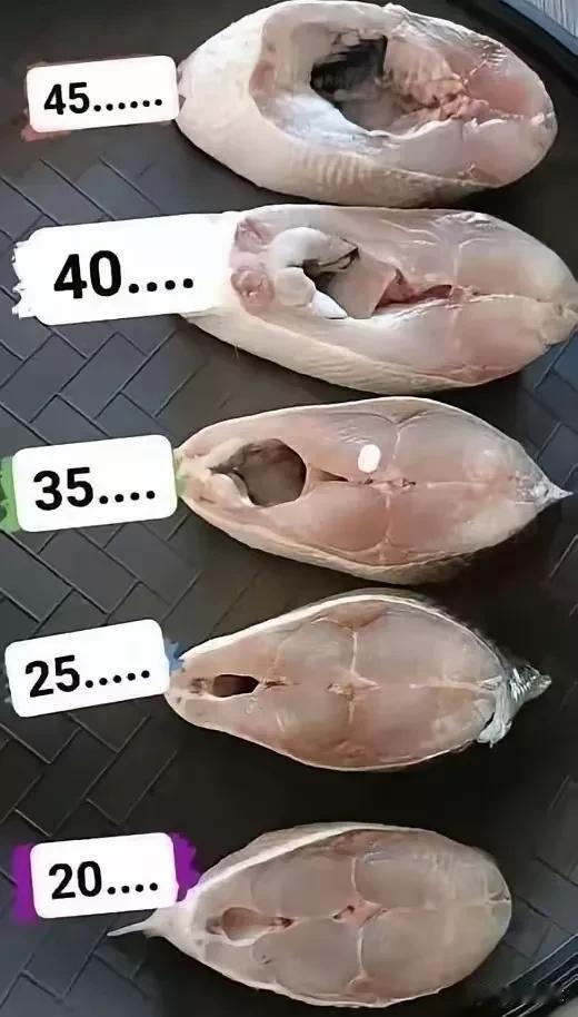 不同价位的鲅鱼吃法不同味道不同