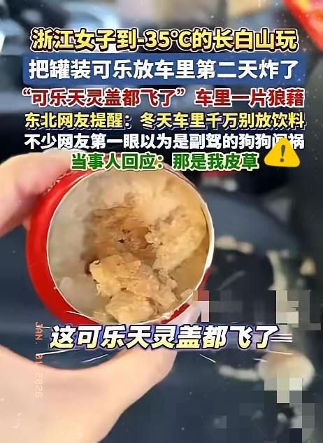 悲剧还是发生了！浙江一女子，自驾去吉林长白山旅游，不小心将一瓶饮料遗落在车内，次