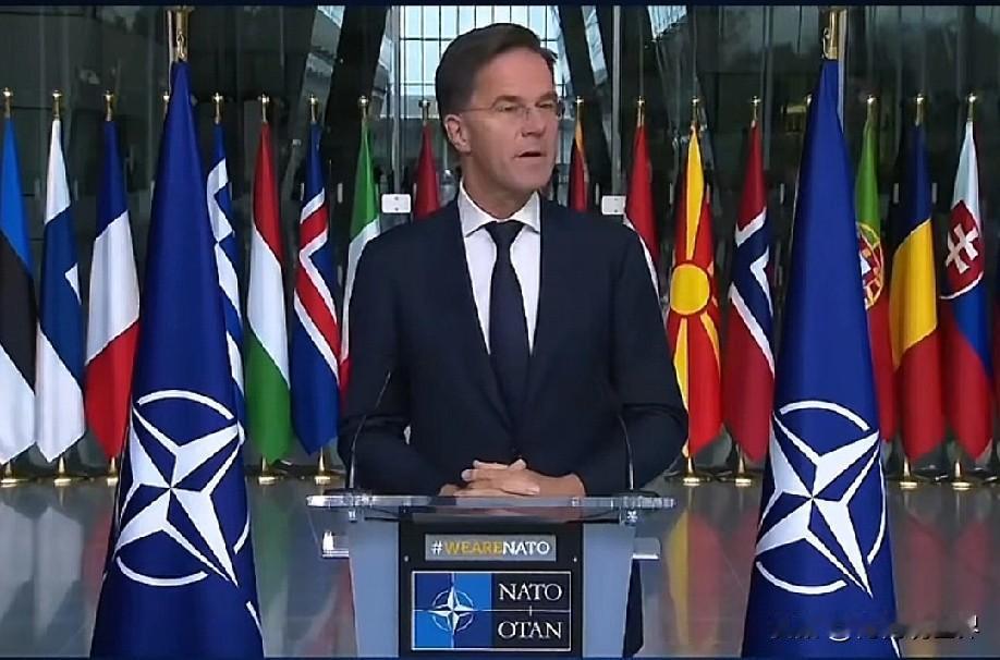 12月19日中午的最新消息速报，全都不容错过，第五条：北约秘书长警告普京：再攻乌