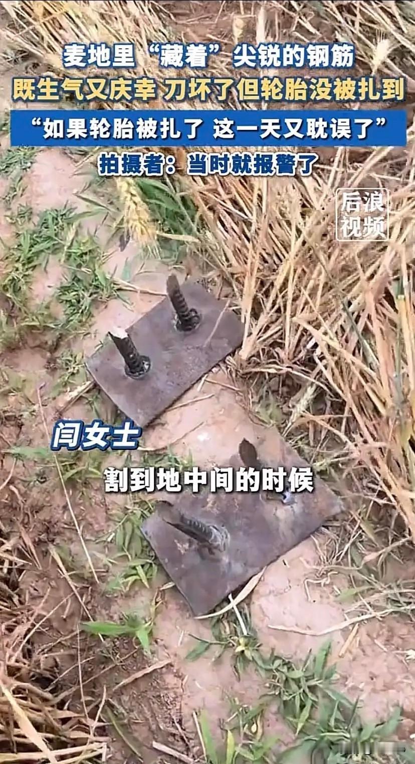 眼下正值小麦夏收关键时期，广袤的麦田里，收割机正开足马力抢收粮食。然而，近日在某
