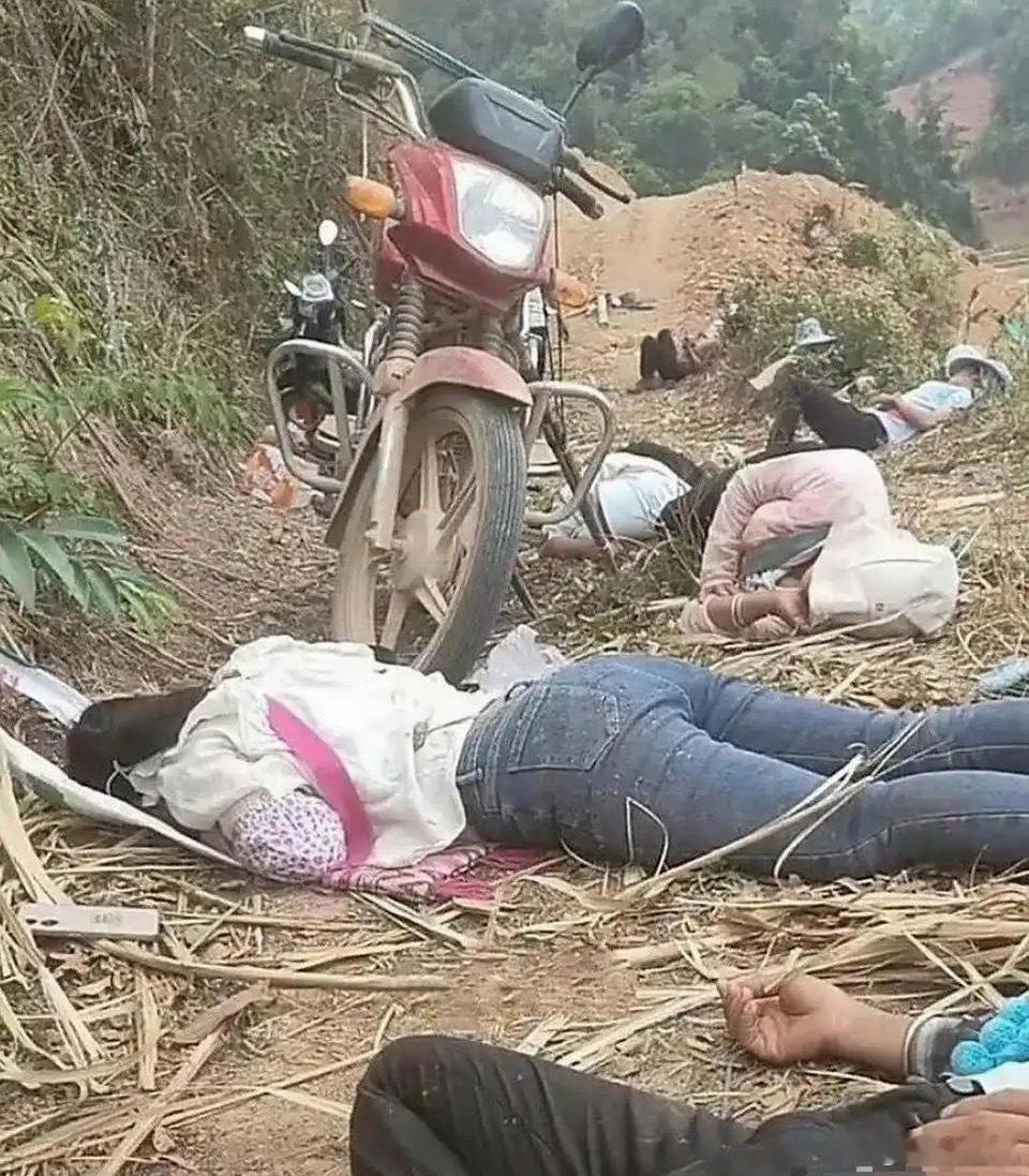 干过农活儿的都门清这是在干什么！