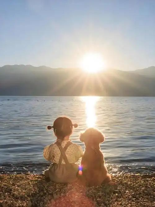 养儿子这事，用对劲了真能越养越省心。我观察了身边那些长大后有出息的孩子，发现