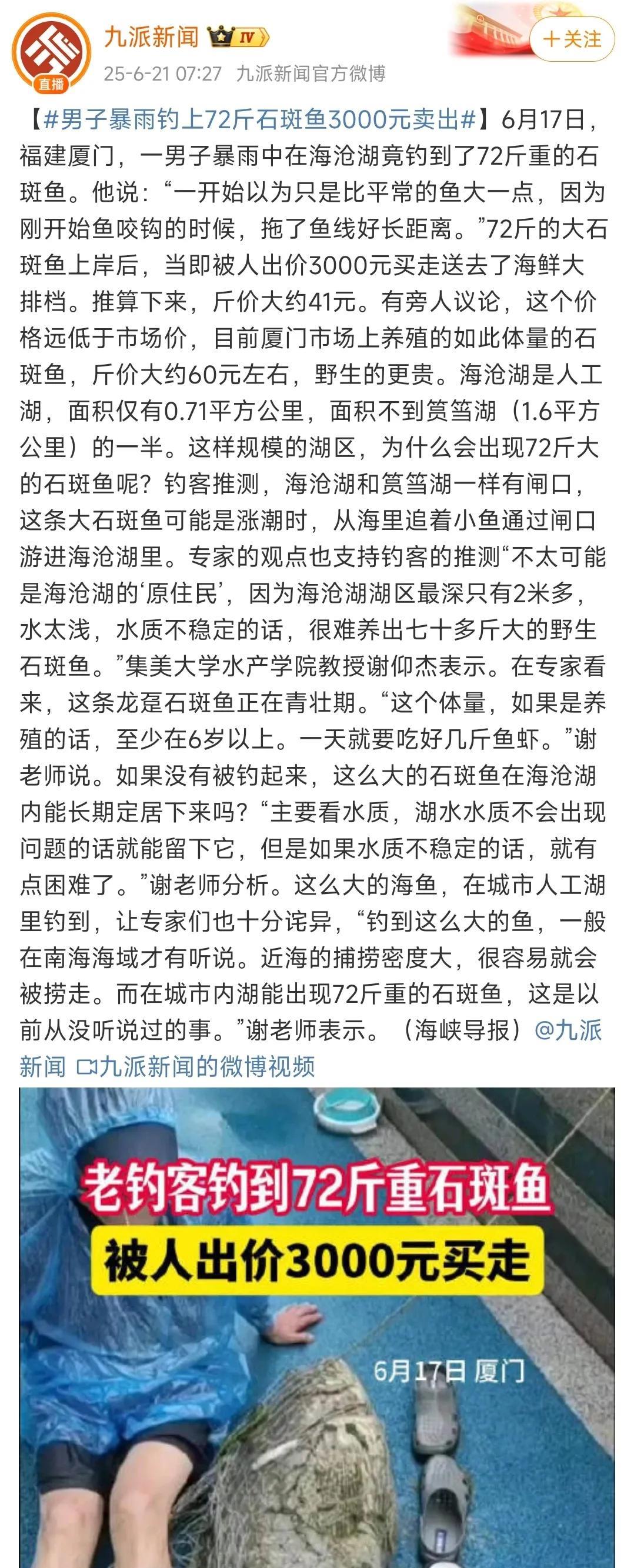 这个钓鱼佬发了！厦门一男子在暴雨中钓到一条石斑鱼，鱼拉上岸后一称，竟然有整整7