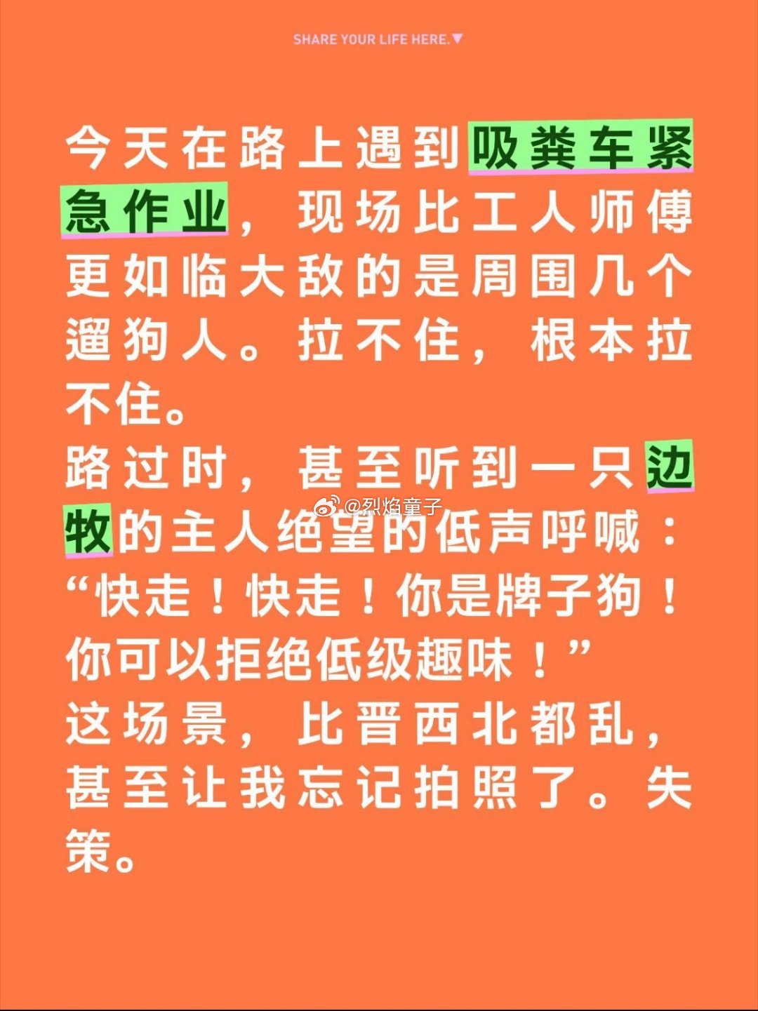 我以为牌子狗都不爱吃💩呢[笑着哭]​​​