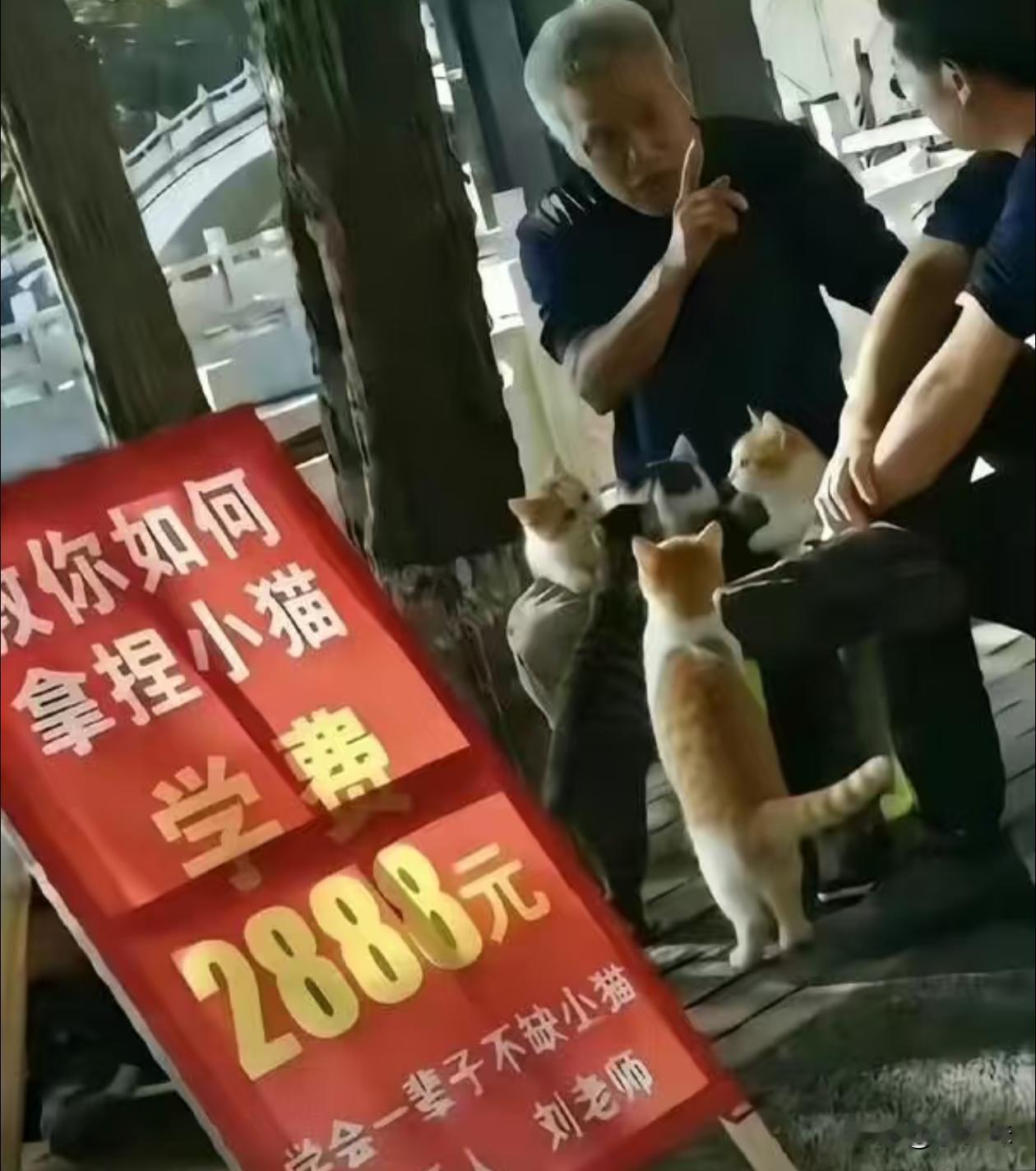 感觉裤子上抹猫薄荷了