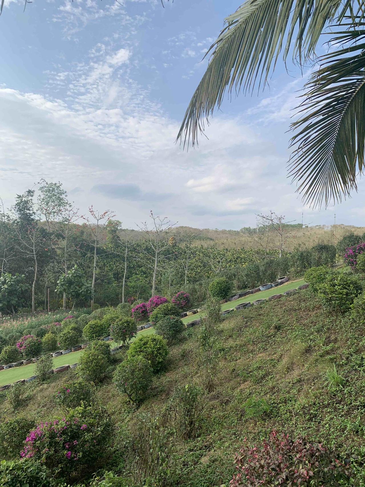 生肖马热情开朗、行事果断，但也有最怕得罪的人。心思缜密又记仇的人，生肖马可得躲