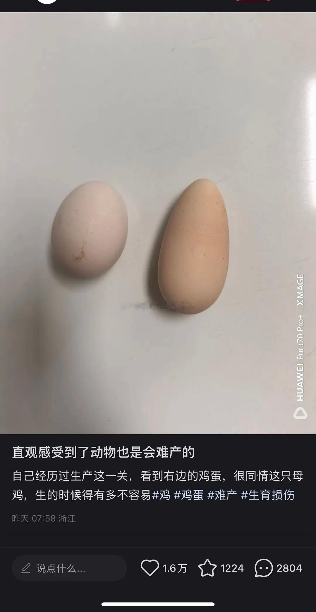 啊。。我再也不抱怨现在鸡蛋小了，原来是为了保护鸡屁股，鸡生蛋真的很辛苦！希望大家