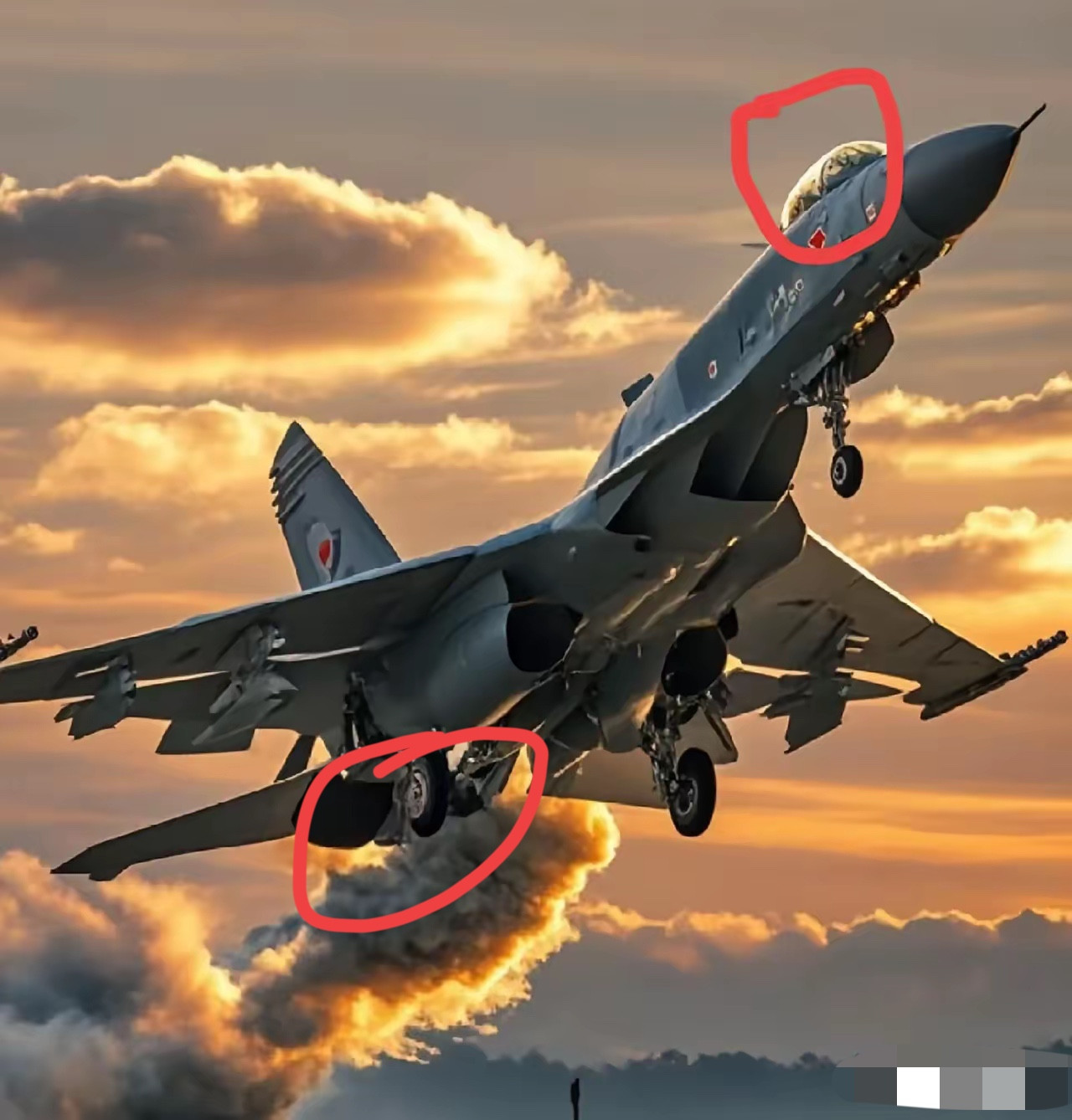 印巴空战后，阿根廷原本打算在2024年引进16架枭龙或歼-10。​但由于外部压