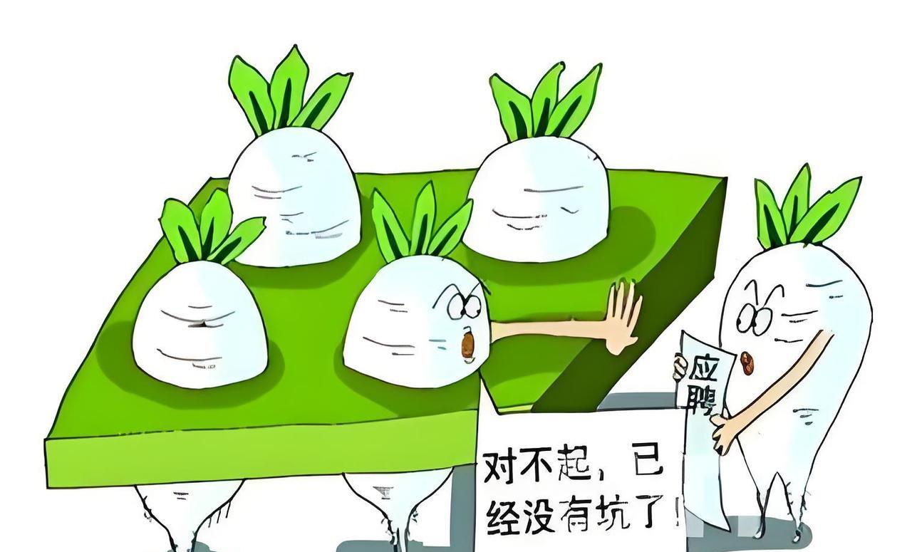 什么是公务员"萝卜坑"岗位？怎么防范选到萝卜坑岗位？"萝卜坑"是指公务员或事业
