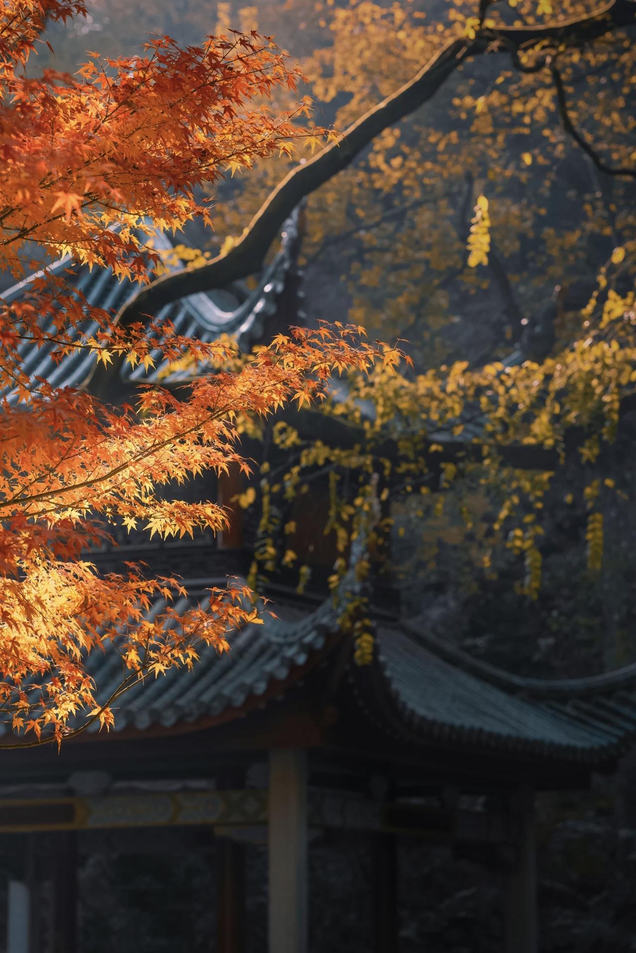 不吐不快！沈逸和郭继承教授的剖析，真是说到了骨子里！有人张口就说“为八百万