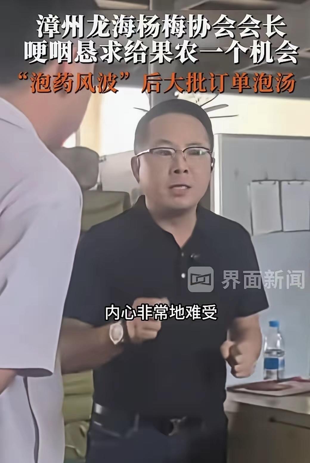 福建杨梅这事儿子弹还得飞一会儿。那位漳州的杨梅协会会长，一会儿眼泪一会下跪的，