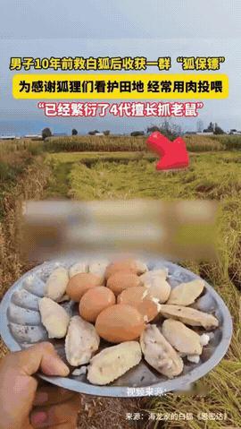 黑龙江,男子每天中午都要准备一大盘好吃的,专门拿到自家地里,但他不是给狗吃,也不