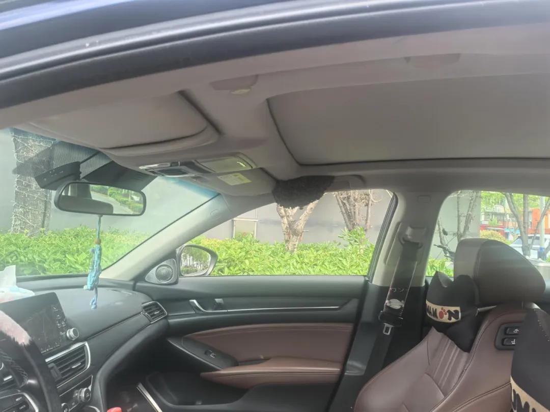 万万没想到！浙江杭州，男子把车停在路边下车办事，结果十几分钟后回来，发现副驾驶一