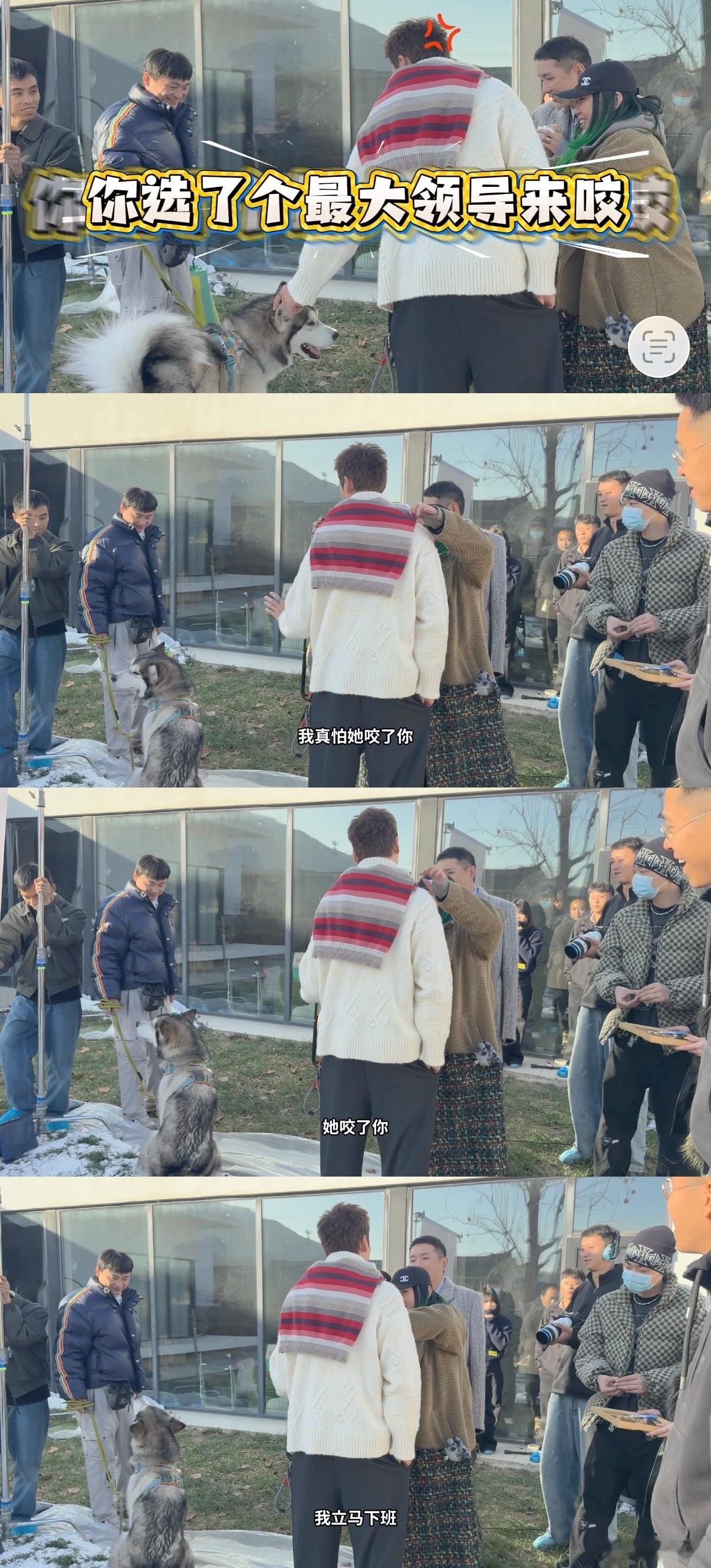 陈伟霆它咬了你我立马下班陈伟霆在花絮里的表现太真实了，完全没有偶像包袱，看到