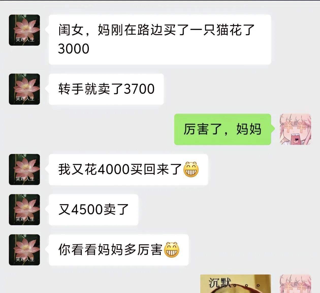 这智商……到底是亏了还是赚了？