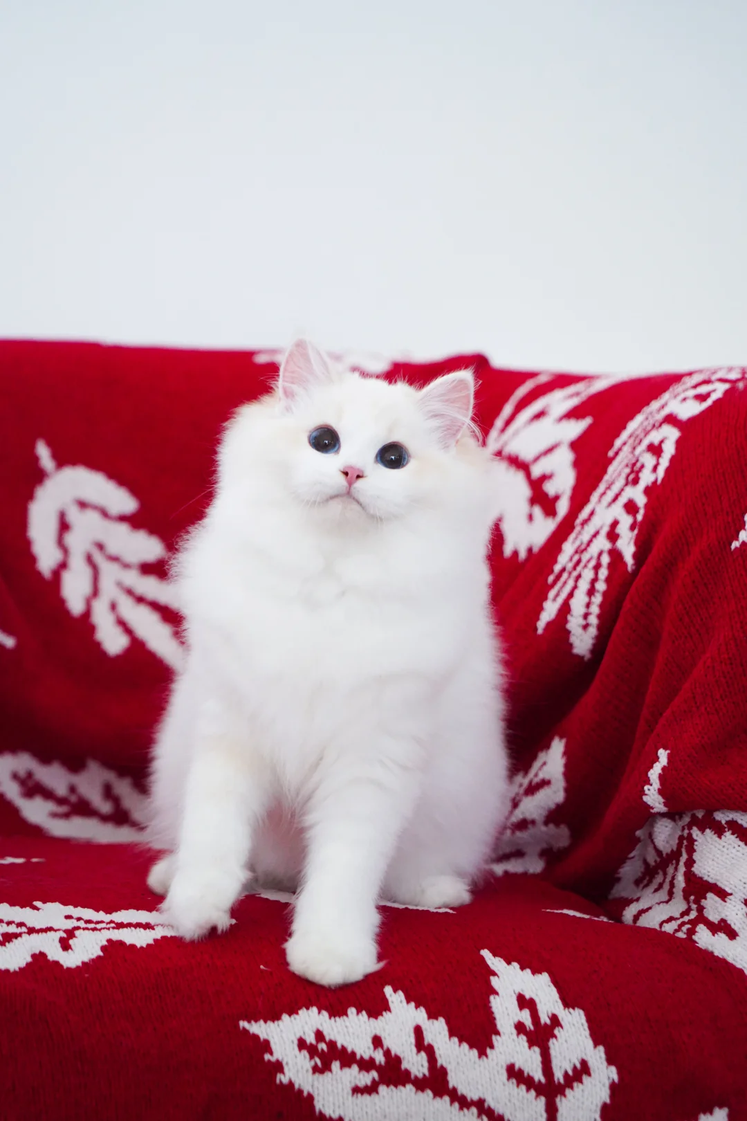 快看呐～我也是有火焰妹妹的人啦😏