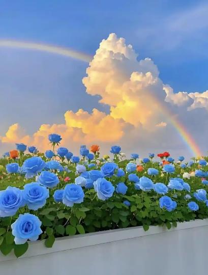 著名心理医生一段非常精辟的话：“不要脸、不要命，走出一切心理疾病。焦