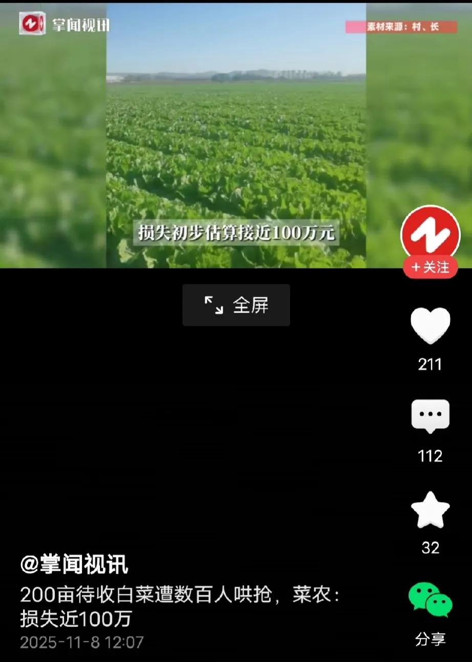 内蒙古赤峰，男子包了400亩地种白菜，联系好了买家打算出售，谁料，一网友恶作剧