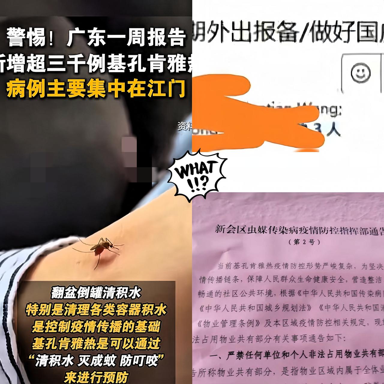 外出又要报备？？？！！江门又要火出圈了？估计江门市主官又要