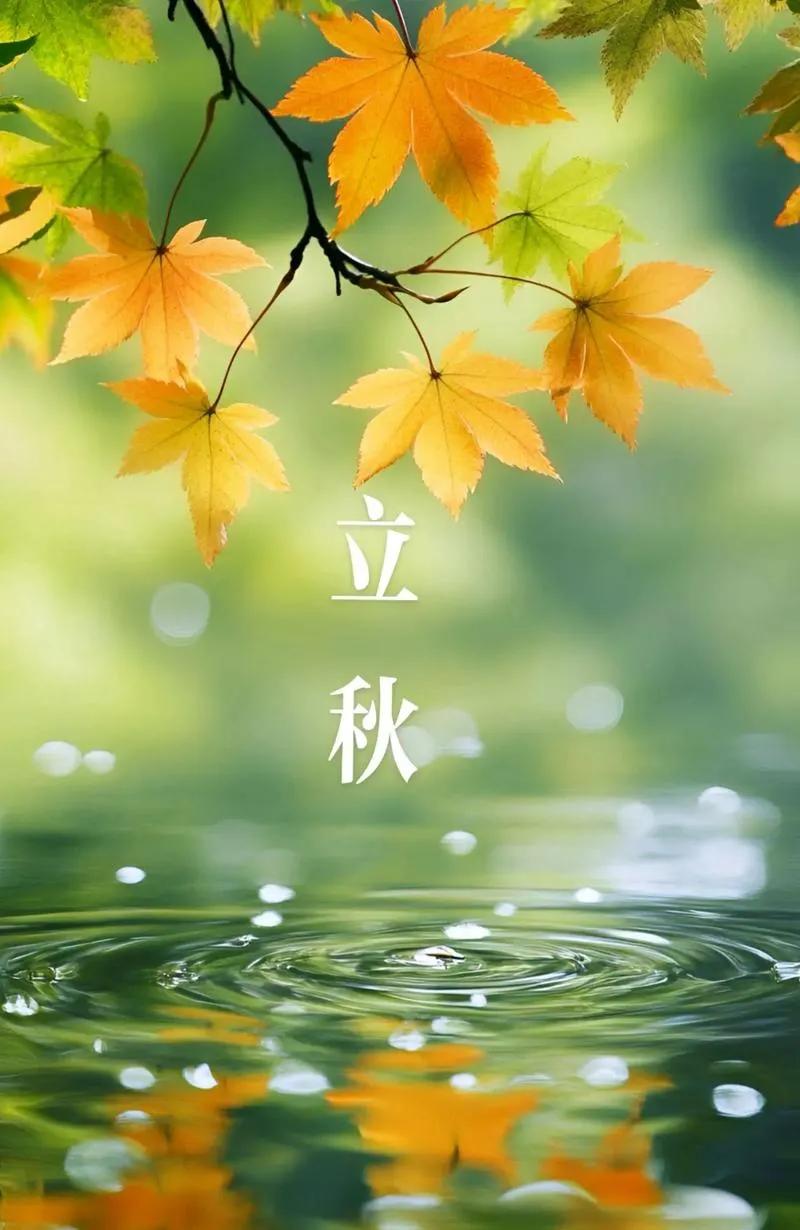 秋天我为什么会爱她如此的深沉立秋意味着