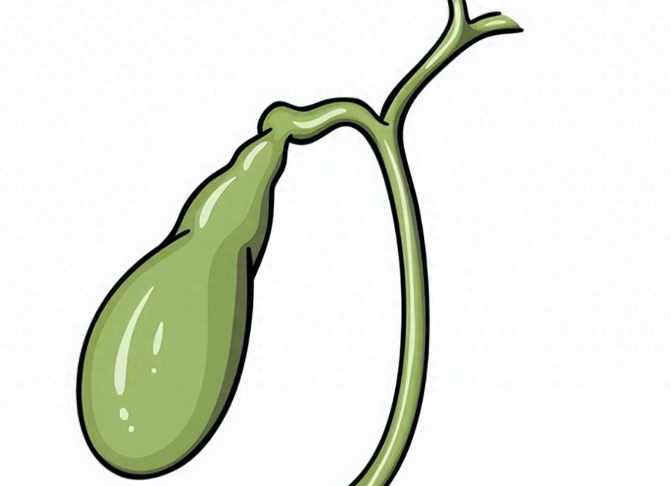 “胆囊”不好的人，身体会有哪些“表现”？建议早点了解一下很多人以为胆囊没啥用，