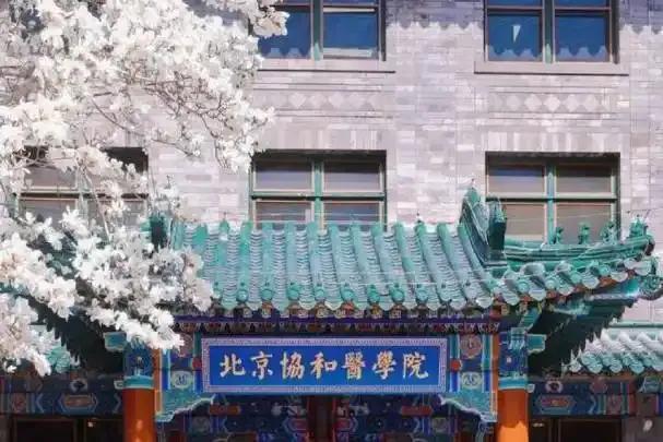 学医4年比学14年还牛！以董某莹事件为缩影，北协和自毁长城，北大上交复旦图取而代