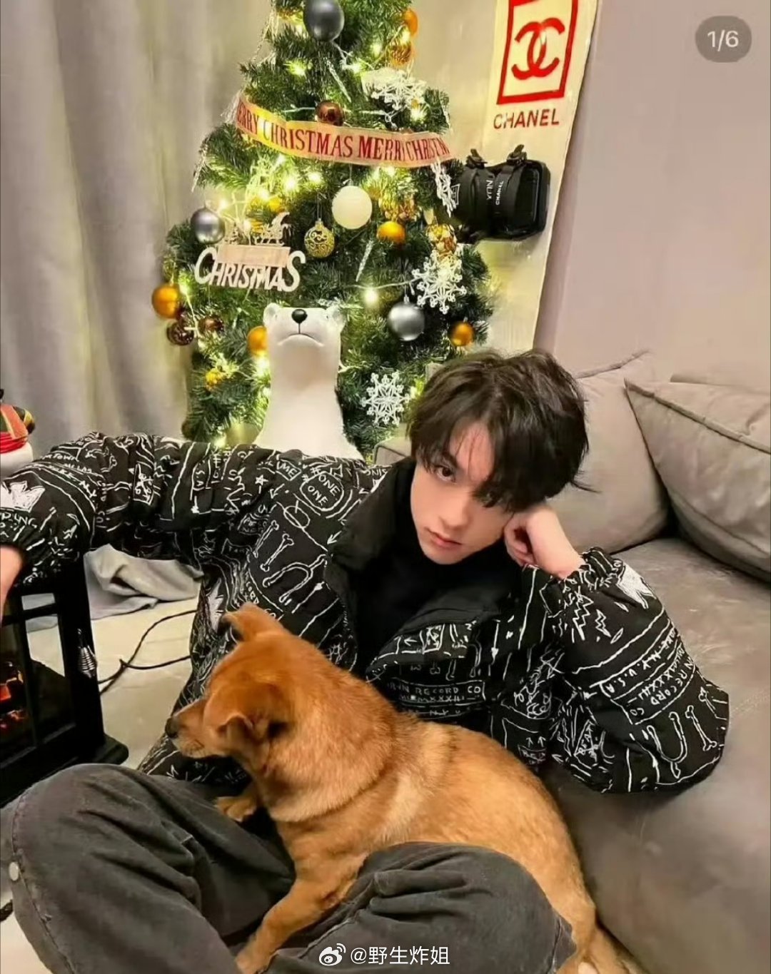 田栩宁这个沙发跟圣诞树真的不能说一模一样，只能说别无二致啊，真的是叫不醒一个装睡