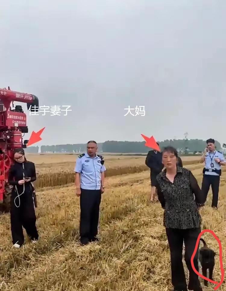 最近襄阳麦收的“割四赔五”事件，真的越看越气，越想越寒心！​​事情很简单：河南一