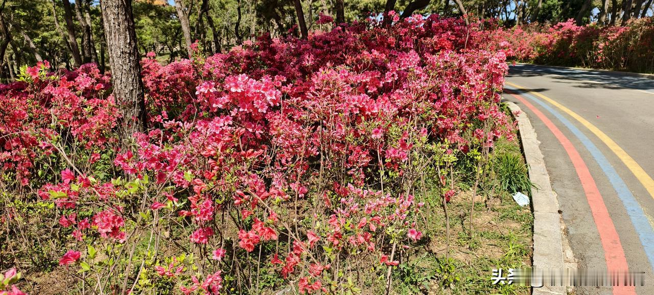 我见过最通透的同事，早就不争不抢，把日子过成了自己的主场先讲个真事儿。我